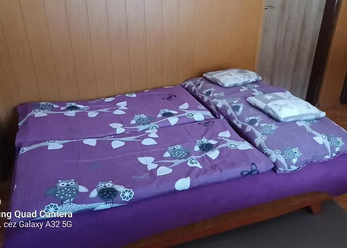 Apartman 81